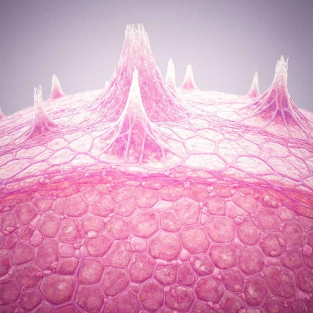 Gojenie ran: proces, etapy i czynniki wpływające na regenerację skóry